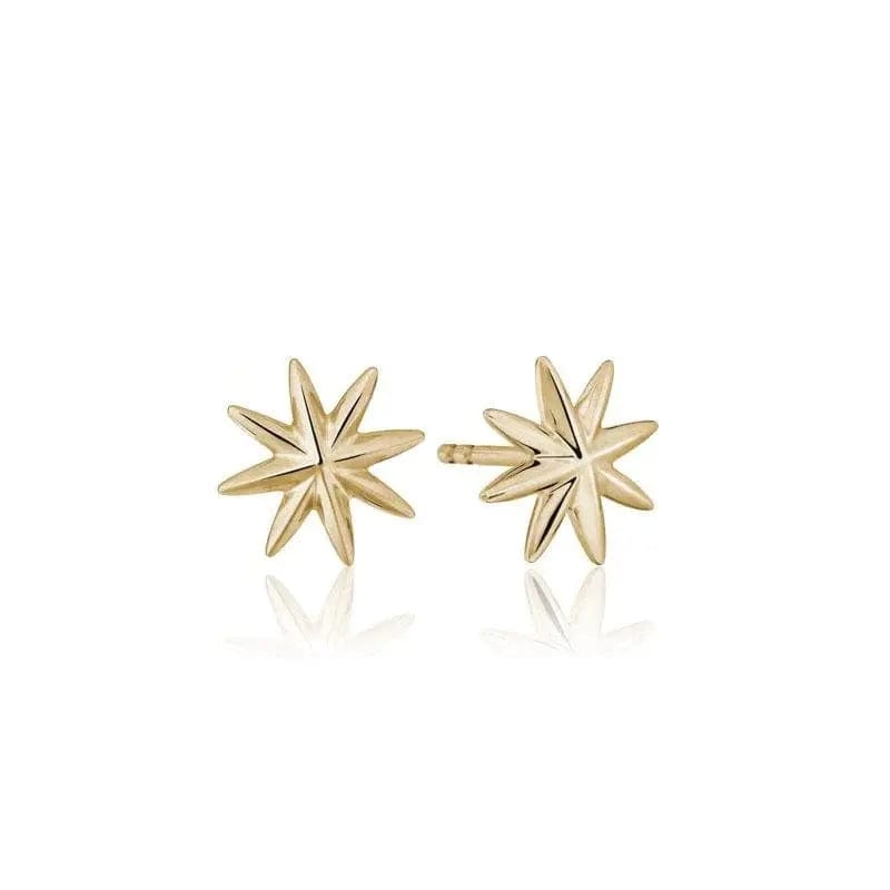 14k Gold Star Studs - Biggar Diamonds