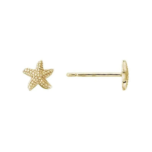 14k Gold Starfish Studs - Biggar Diamonds