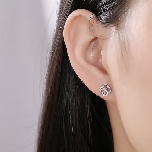 Sterling Silver +  Cubic Zirconia Compass Studs